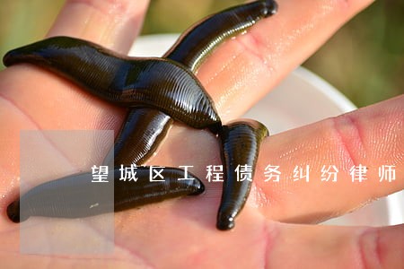 望城区工程债务纠纷律师 望城区工程债务纠纷律师