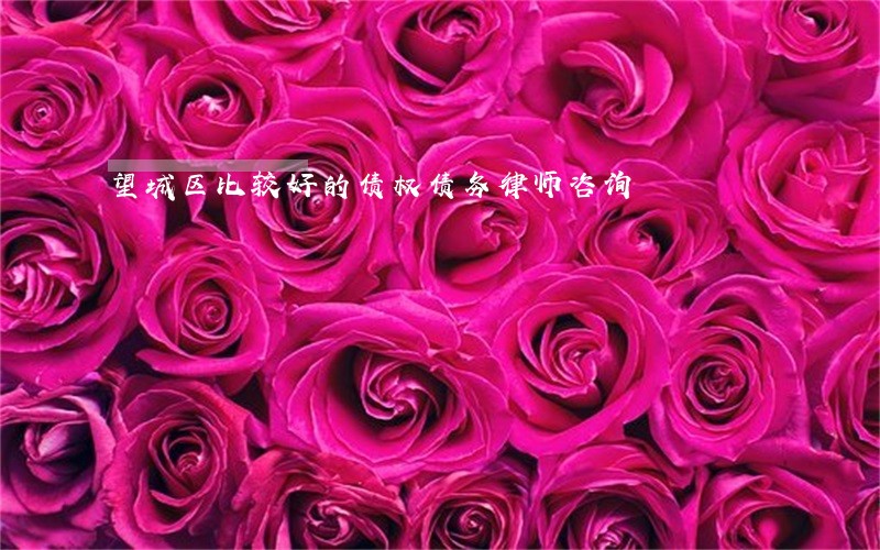 望城区比较好的债权债务律师咨询
