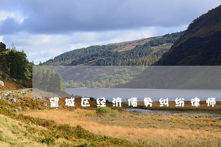 望城区经济债务纠纷律师 望城区经济债务纠纷律师