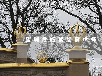 望城危险驾驶罪律师