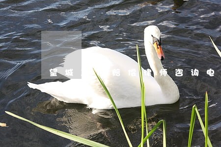 望城工伤赔偿律师咨询电话 望城工伤赔偿律师咨询电话