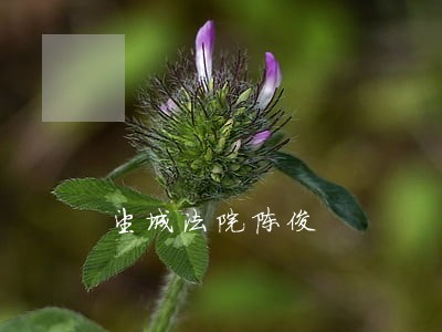 望城法院陈俊 望城法院陈俊