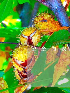 望奎为农民工讨薪提供法律援助 望奎为农民工讨薪提供法律援助