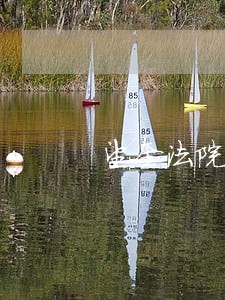 望奎法院执行庭