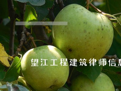 望江工程建筑律师信息在线查询