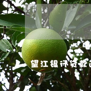 望江银行贷款逾期的企业