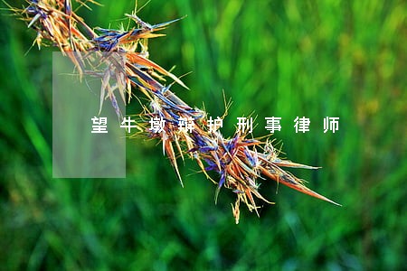 望牛墩辩护刑事律师 望牛墩辩护刑事律师