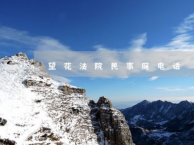 望花法院民事庭电话 望花法院民事庭电话