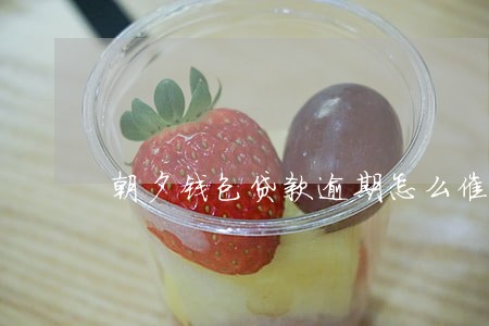 朝夕钱包贷款逾期怎么催收
