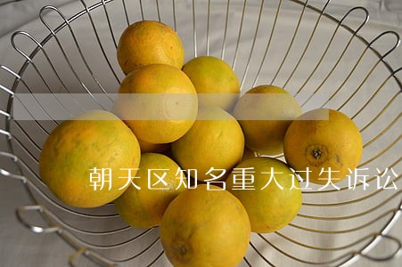 朝天区知名重大过失诉讼律师 朝天区知名重大过失诉讼律师