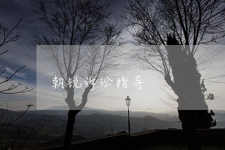 朝锐诉讼指导