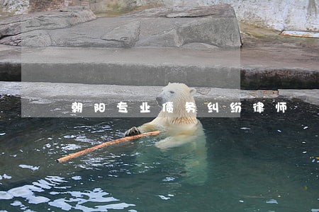 朝阳专业债务纠纷律师 朝阳专业债务纠纷律师