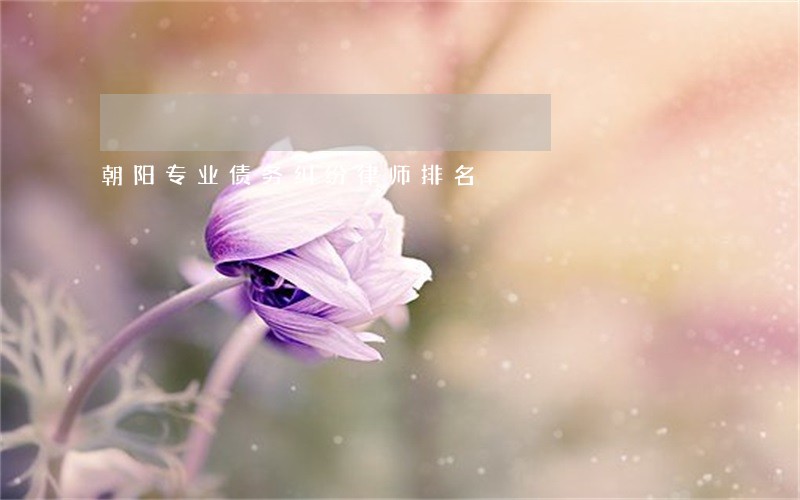 朝阳专业债务纠纷律师排名 朝阳专业债务纠纷律师排名
