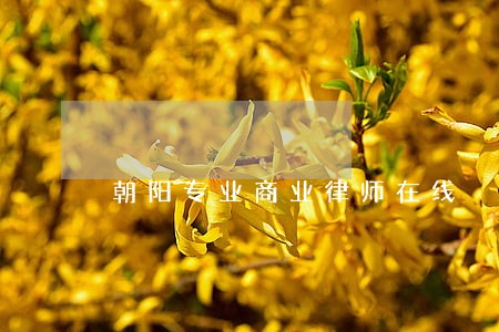 朝阳专业商业律师在线 朝阳专业商业律师在线