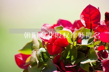 朝阳专业股权律师排名 朝阳专业股权律师排名