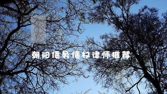 朝阳债务债权律师推荐 朝阳债务债权律师推荐