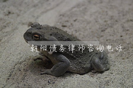 朝阳债务律师咨询电话