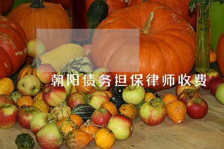 朝阳债务担保律师收费 朝阳债务担保律师收费
