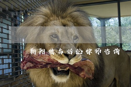 朝阳债务诉讼律师咨询 朝阳债务诉讼律师咨询