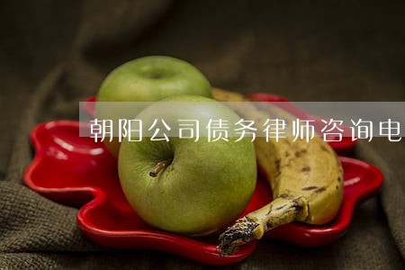 朝阳公司债务律师咨询电话 朝阳公司债务律师咨询电话