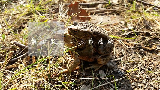 朝阳农民工法律援助中心 朝阳农民工法律援助中心