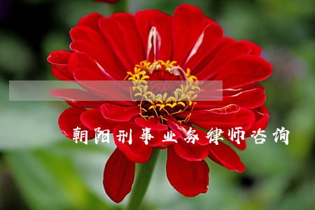 朝阳刑事业务律师咨询 朝阳刑事业务律师咨询