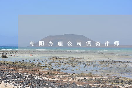 朝阳办理公司债务律师 朝阳办理公司债务律师