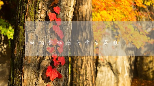 朝阳劳动法大学生家教