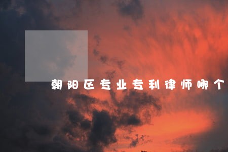 朝阳区专业专利律师哪个好 朝阳区专业专利律师哪个好