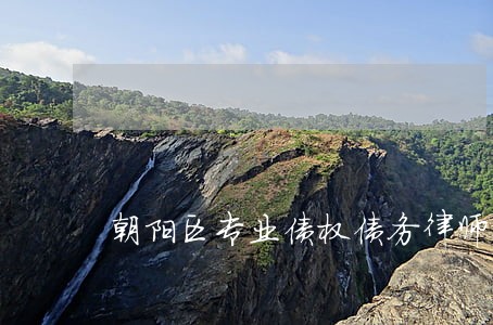 朝阳区专业债权债务律师 朝阳区专业债权债务律师