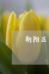 朝阳区专业离婚律师西城