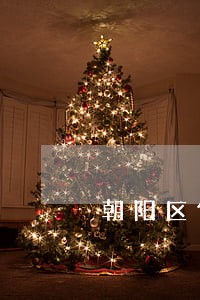 朝阳区何永强律师网