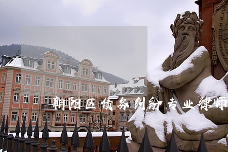 朝阳区债务纠纷专业律师 朝阳区债务纠纷专业律师