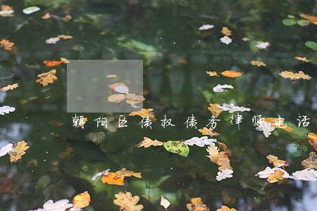 朝阳区债权债务律师电话 朝阳区债权债务律师电话