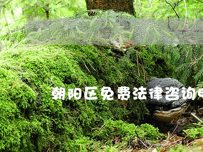 朝阳区免费法律咨询电话 朝阳区免费法律咨询电话
