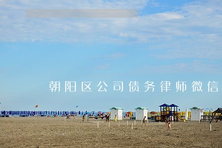 朝阳区公司债务律师微信咨询 朝阳区公司债务律师微信咨询