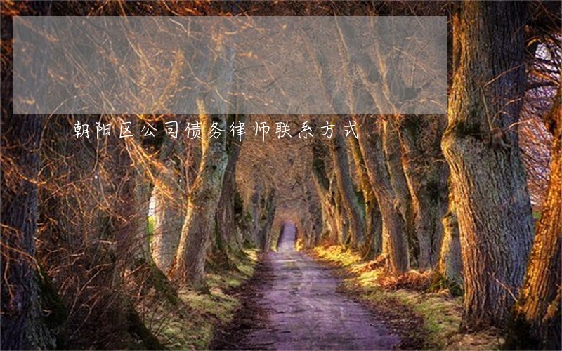 朝阳区公司债务律师联系方式 朝阳区公司债务律师联系方式