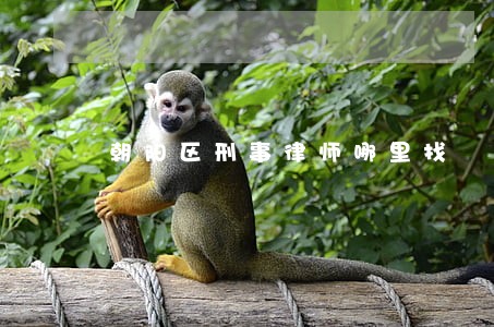 朝阳区刑事律师哪里找 朝阳区刑事律师哪里找