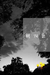 朝阳区刑事案律师费用 朝阳区刑事案律师费用