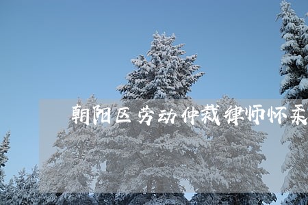 朝阳区劳动仲裁律师怀柔 朝阳区劳动仲裁律师怀柔