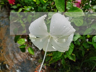 朝阳区医疗律师法律咨询 朝阳区医疗律师法律咨询