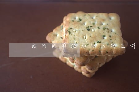 朝阳区司法局社区矫正科 朝阳区司法局社区矫正科