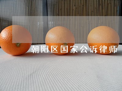朝阳区国家公诉律师 朝阳区国家公诉律师