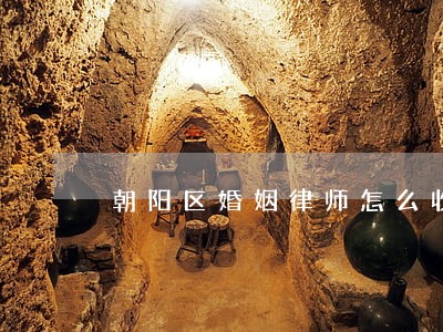 朝阳区婚姻律师怎么收费 朝阳区婚姻律师怎么收费