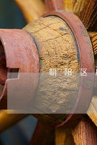 朝阳区房产律师哪个好 朝阳区房产律师哪个好