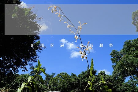 朝阳区房产律师服务