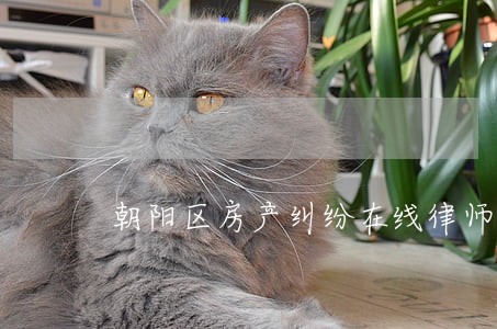 朝阳区房产纠纷在线律师 朝阳区房产纠纷在线律师