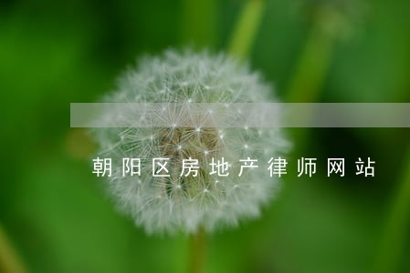朝阳区房地产律师网站 朝阳区房地产律师网站