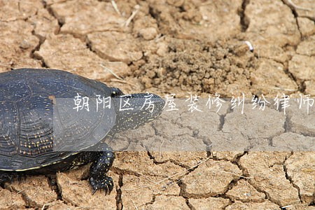 朝阳区房屋装修纠纷律师 朝阳区房屋装修纠纷律师