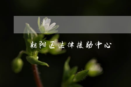 朝阳区法律援助中心 朝阳区法律援助中心